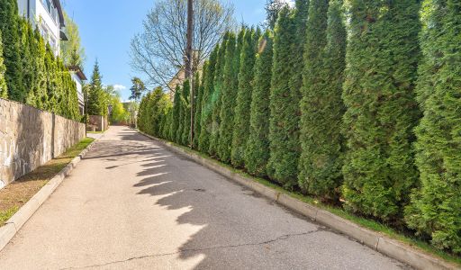 Дом под ключ в Машкинских холмах