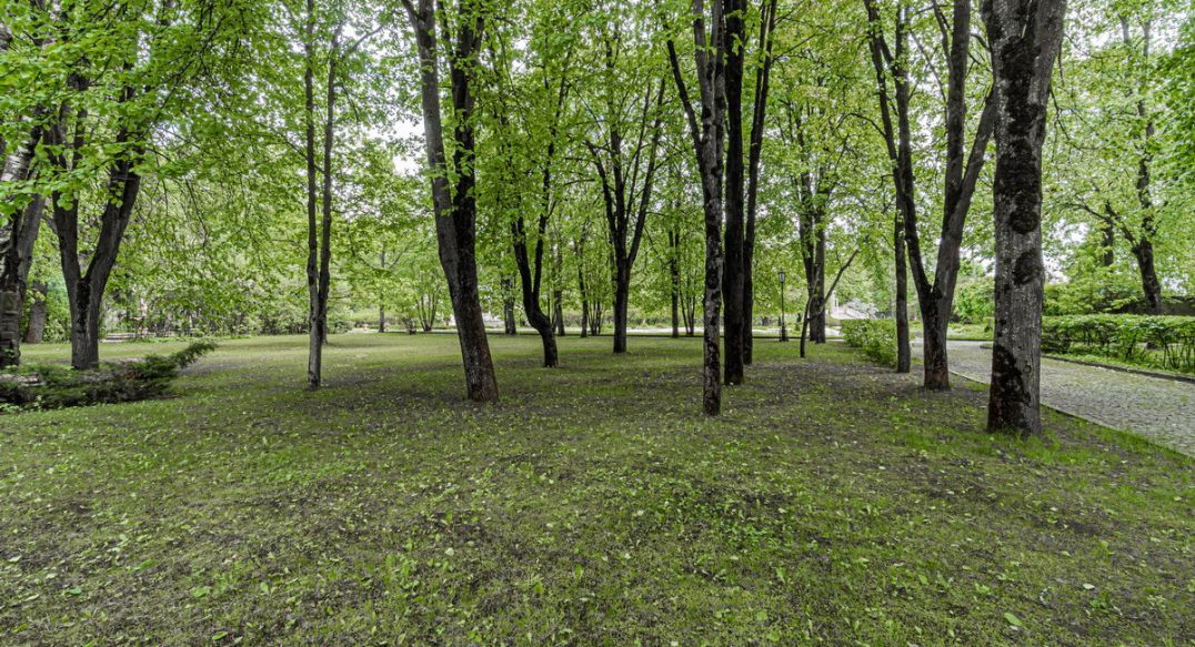 Лосино-Петровский