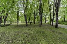 Лосино-Петровский