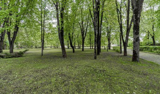 Лосино-Петровский