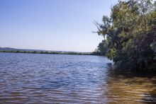 Аренда дома КП Немо