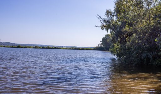 Аренда дома КП Немо