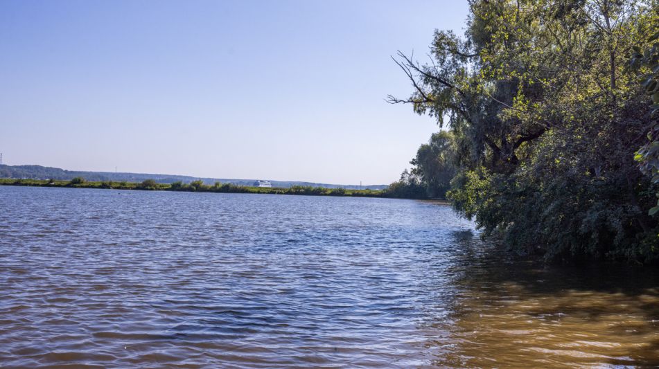 Аренда дома КП Немо