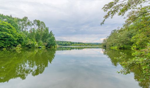 Ермолинские пруды