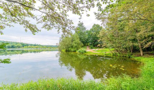 Ермолинские пруды