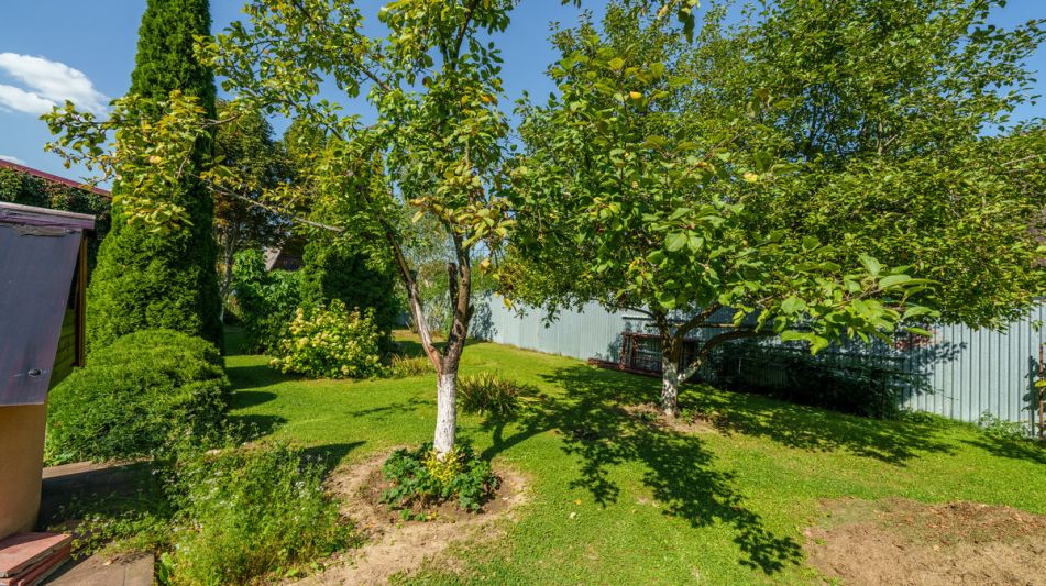 Уютный дом Ермолинские пруды