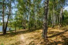 Уютный дом Ермолинские пруды