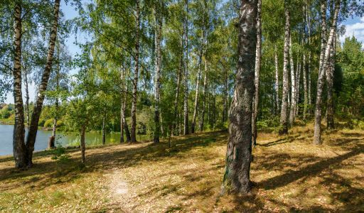 Уютный дом Ермолинские пруды