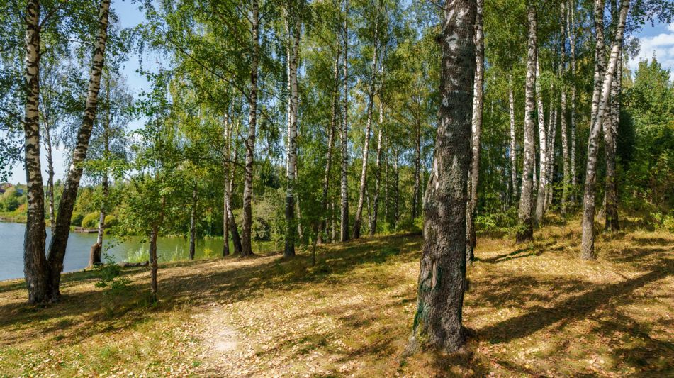 Уютный дом Ермолинские пруды