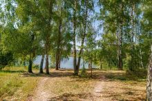 Уютный дом Ермолинские пруды