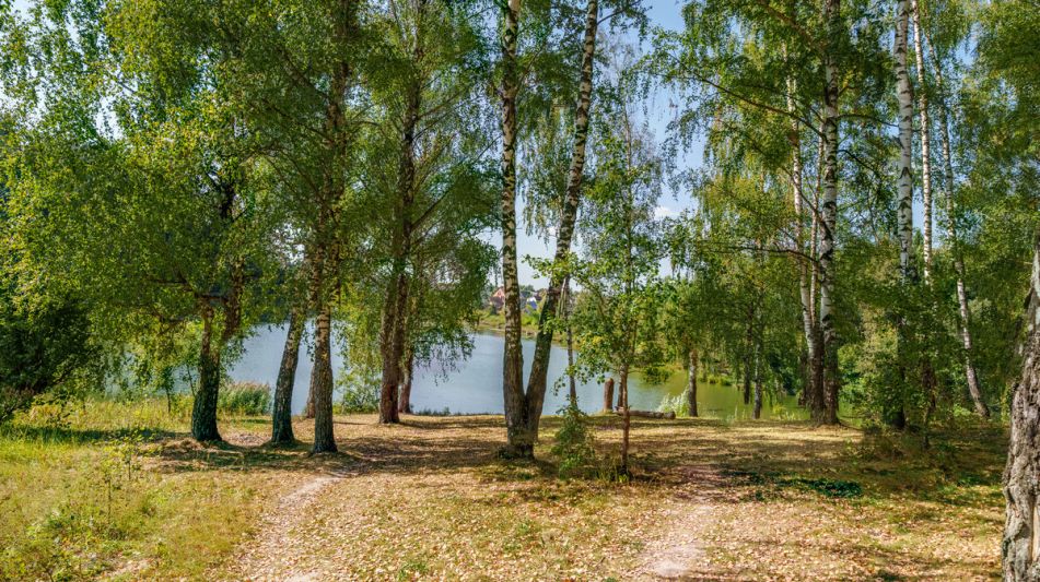 Уютный дом Ермолинские пруды