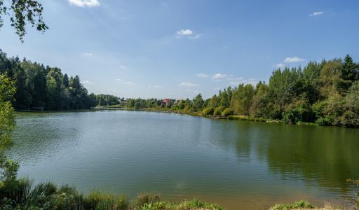 Уютный дом Ермолинские пруды