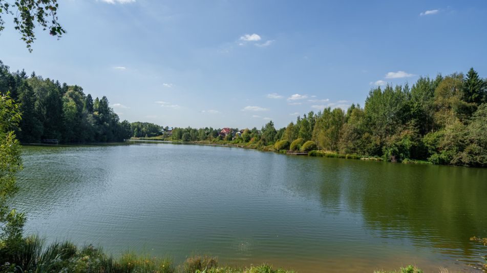 Уютный дом Ермолинские пруды