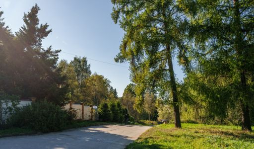 Живописный