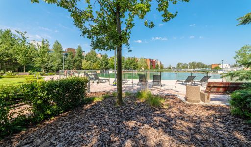 Футуро Парк