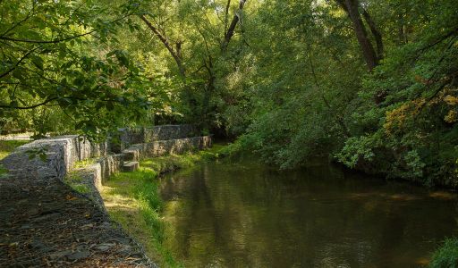 Олимпийская деревня Новогорск