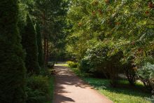 Олимпийская деревня Новогорск