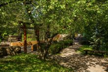 Олимпийская деревня Новогорск