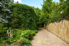 Усадьба окруженная лесом Горки-5