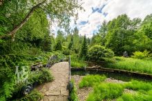 Усадьба окруженная лесом Горки-5