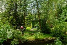 Усадьба окруженная лесом Горки-5