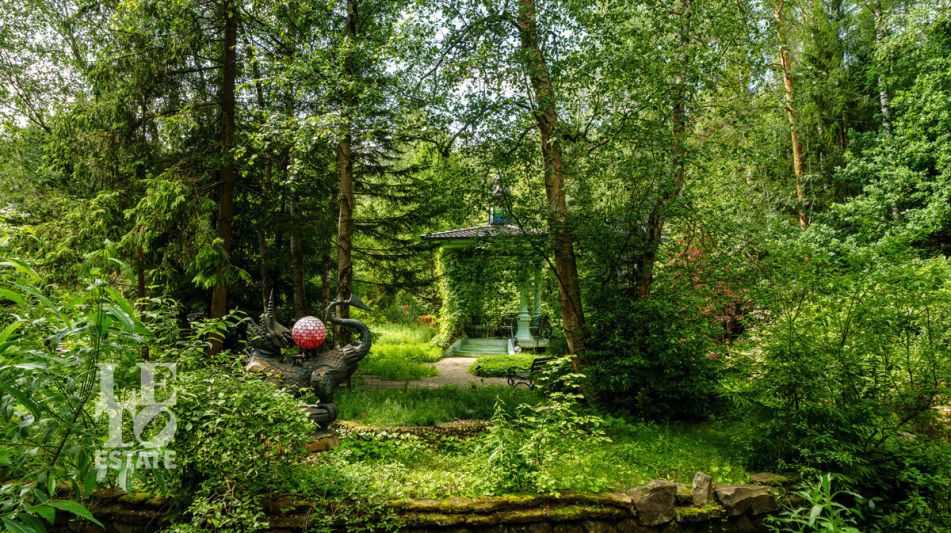 Усадьба окруженная лесом Горки-5