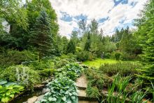 Усадьба окруженная лесом Горки-5