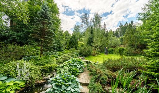 Усадьба окруженная лесом Горки-5