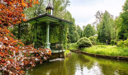 Усадьба окруженная лесом Горки-5