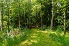 Усадьба окруженная лесом Горки-5