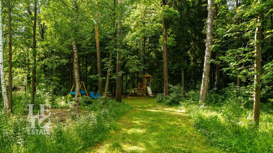 Усадьба окруженная лесом Горки-5