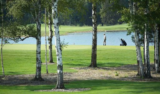 Прилесной участок в гольф Пестово