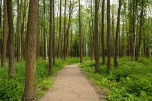 Загородный дом в КП 