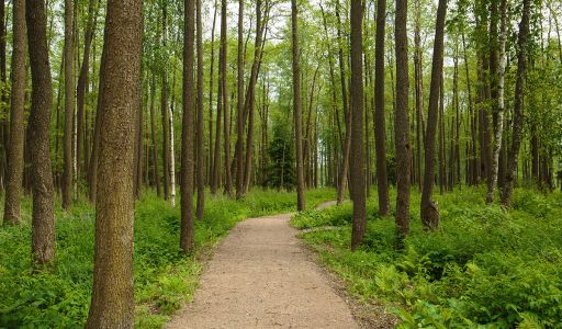 Загородный дом в КП 