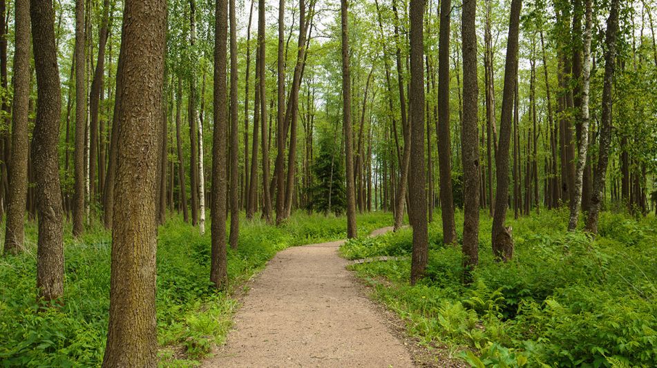 Загородный дом в КП 