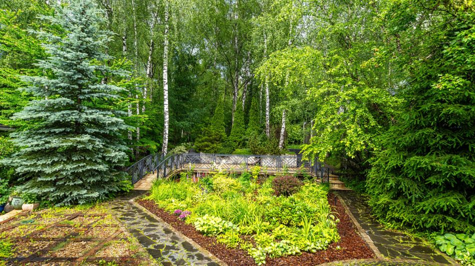 Прилесной дом в Вешках