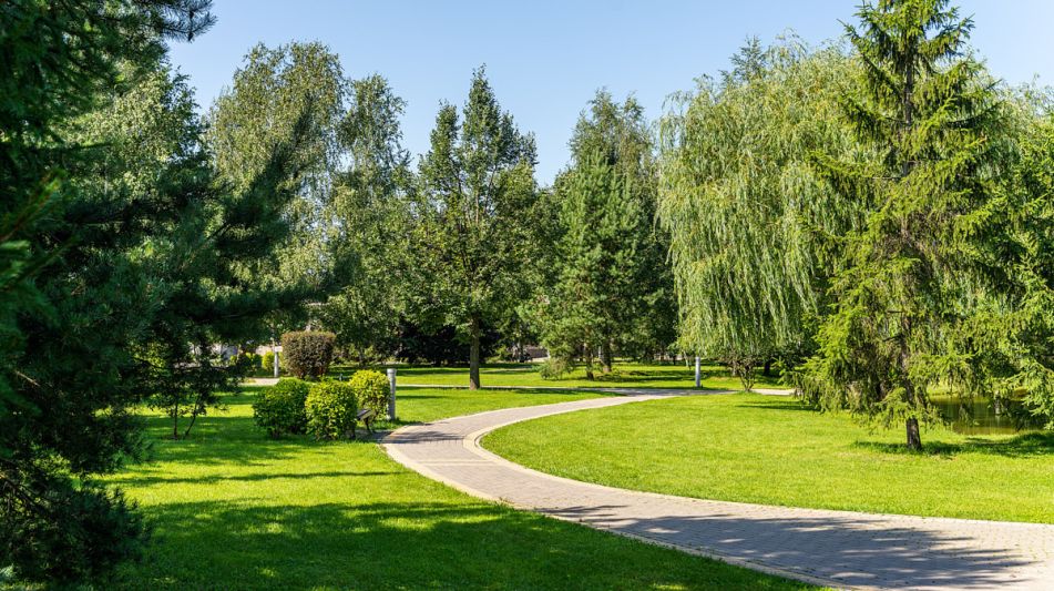 Участок в КП Новорижский