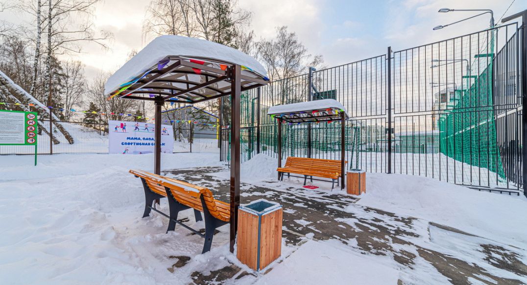 Петровский
