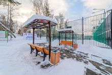 Петровский