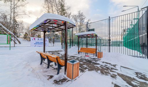 Петровский