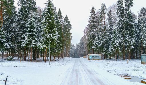 Новый дом в лесу в Сходне