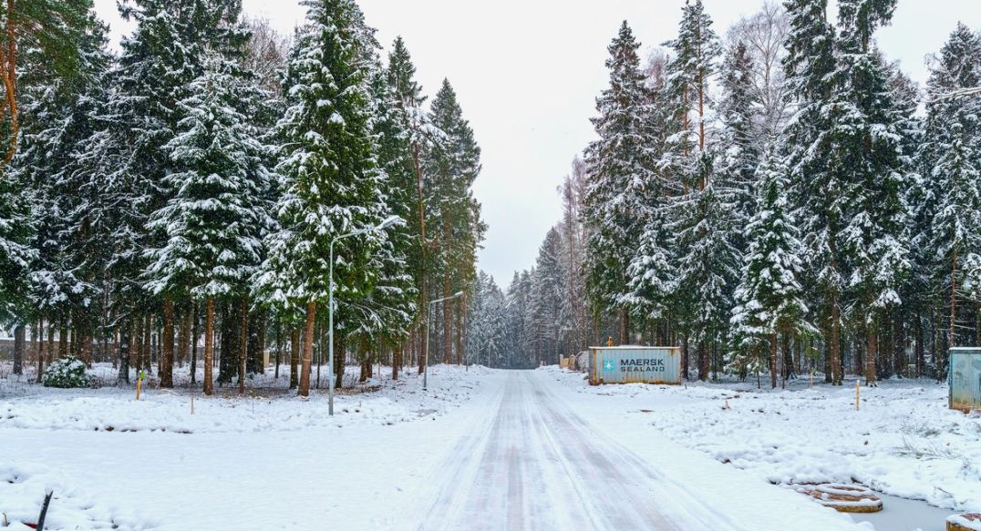 Первый лесной