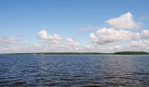 Участок на первой линии Витенево