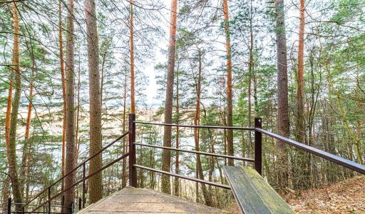 Дом в лесу в п. Николина гора