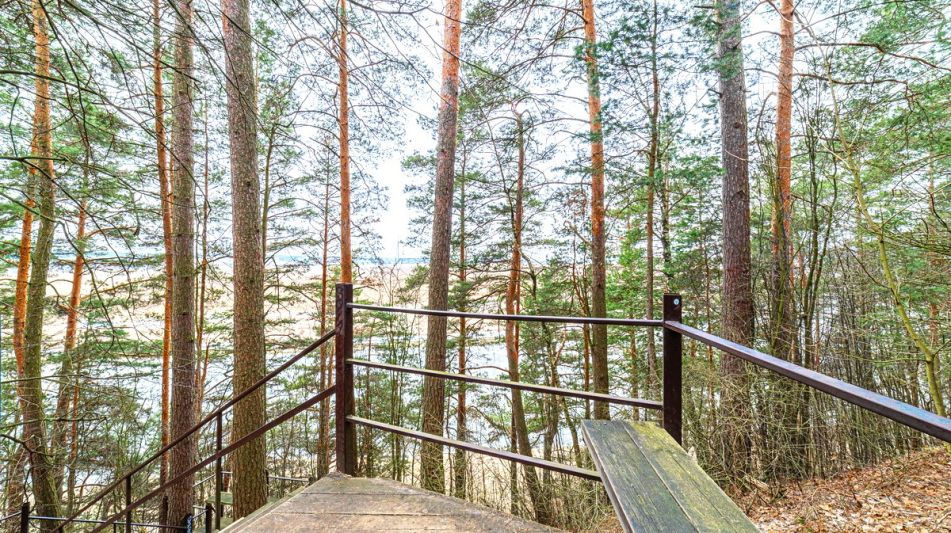 Дом в лесу в п. Николина гора