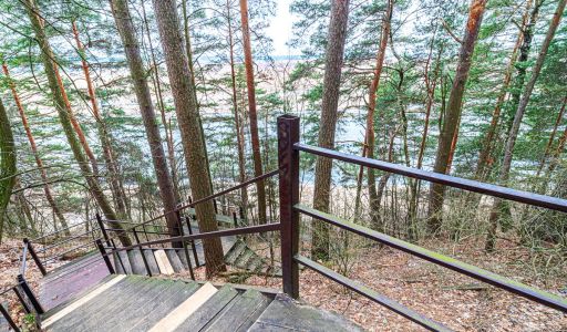 Дом в лесу в п. Николина гора