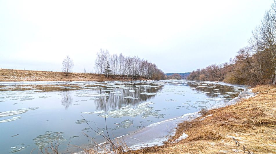 Дом в лесу в п. Николина гора