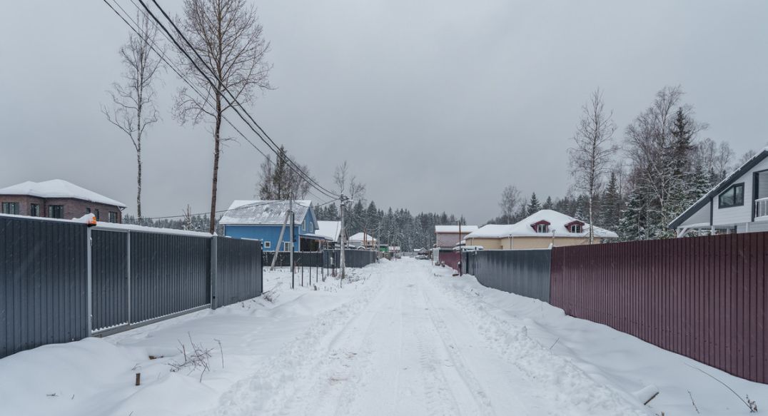 Лесная Быль