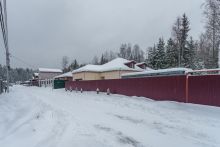 Лесная Быль