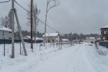 Лесная Быль